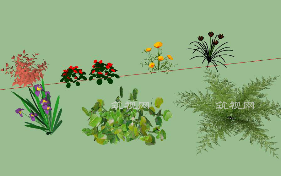 52棵香磷灌木植物精选su模型.jpg
